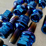 Titanium Works lug bolts