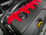 Titanium works Audi RS3 caps