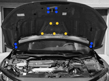 2017 - 2021 FK8 Honda Civic type R engine bay kit