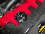 Titanium works Audi RS3 caps