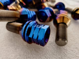 Titanium Works lug bolts