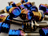 Titanium Works lug bolts