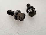 Titanium Works lug bolts