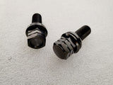 Titanium Works lug bolts