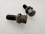 Titanium Works lug bolts