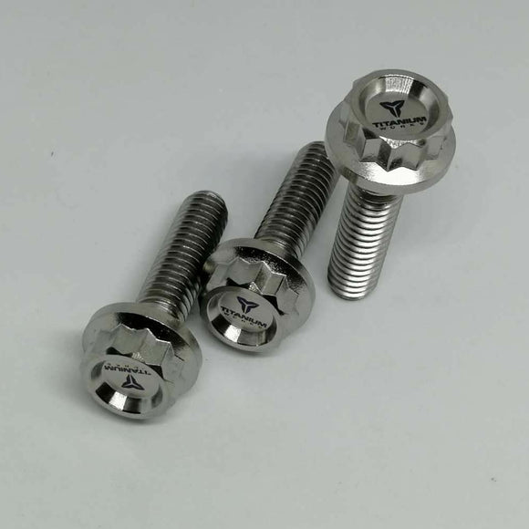 TITANIUM WORKS 12pt center face wheel hardware